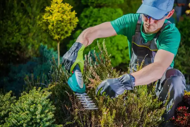 landscaping services Coleman